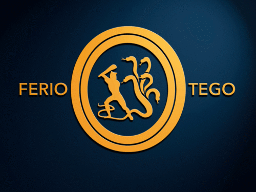 Ferio-Tego-Logo-Wide-500x375